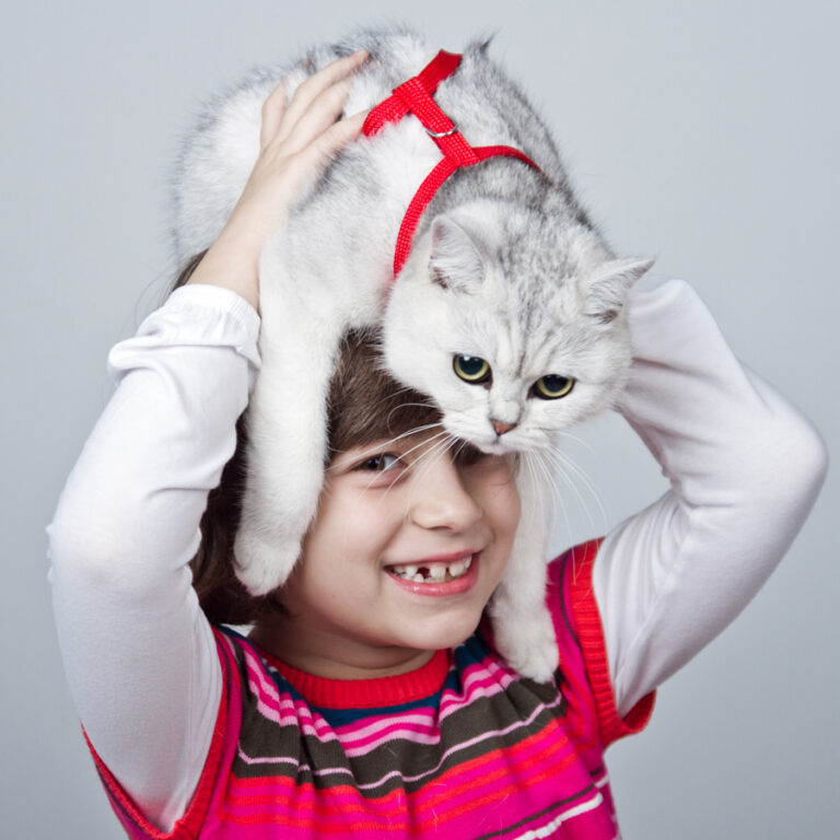 sesja rodzinna z dzieckiem Wrocław